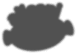 AllCani Site Icon Site Icon
